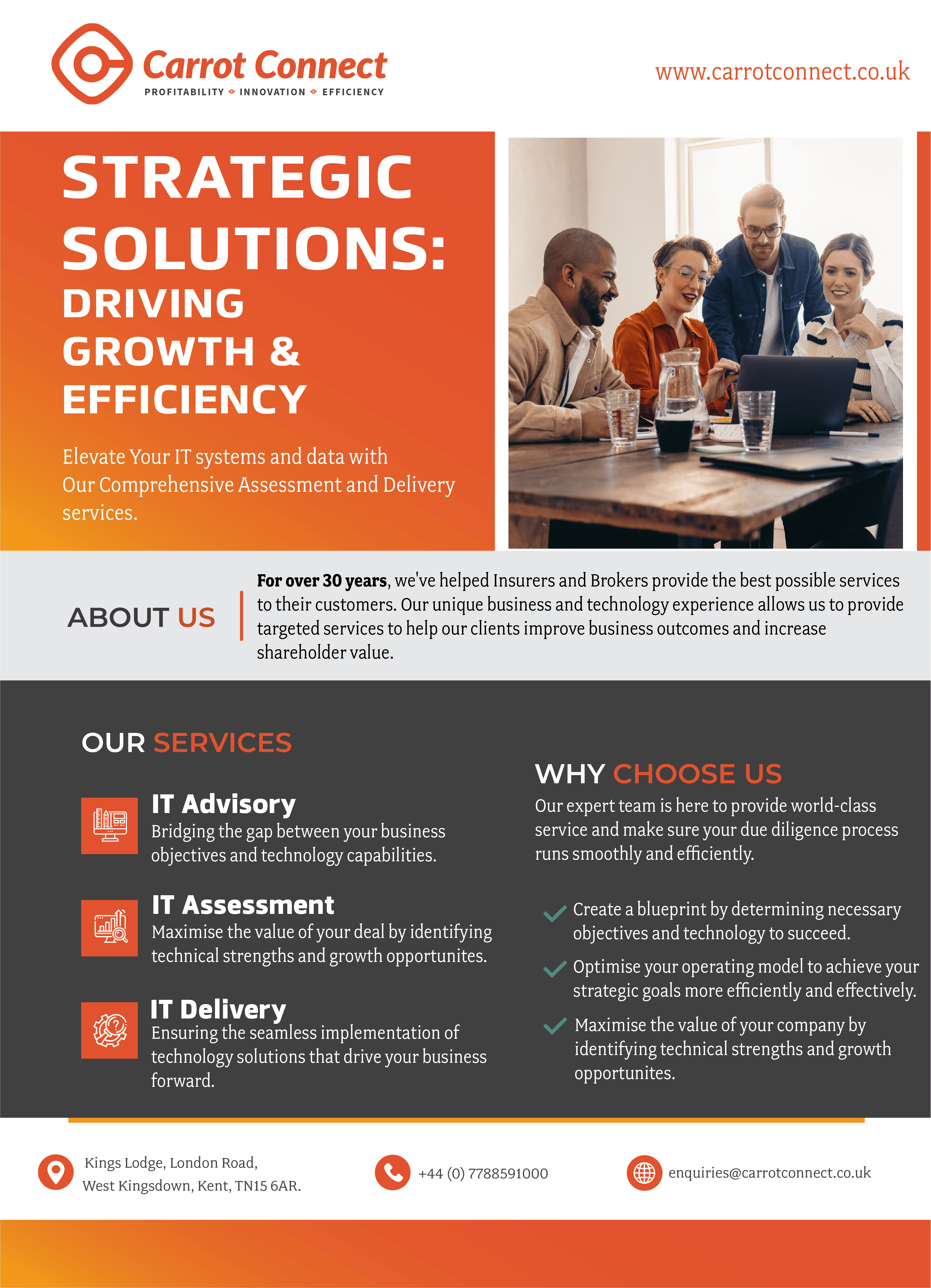 Carrot Services Flyer