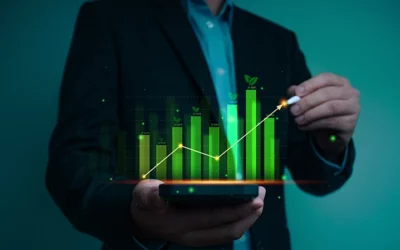 Enhancing Digital Sustainability Practices: A Comprehensive Guide